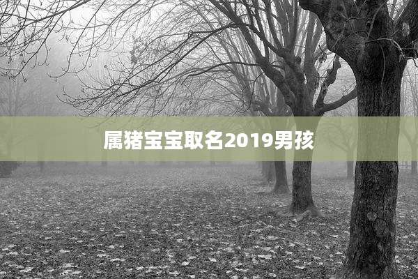 属猪宝宝取名2019男孩