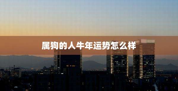 属狗的人牛年运势怎么样
