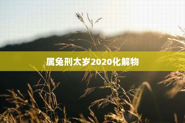 属兔刑太岁2020化解物