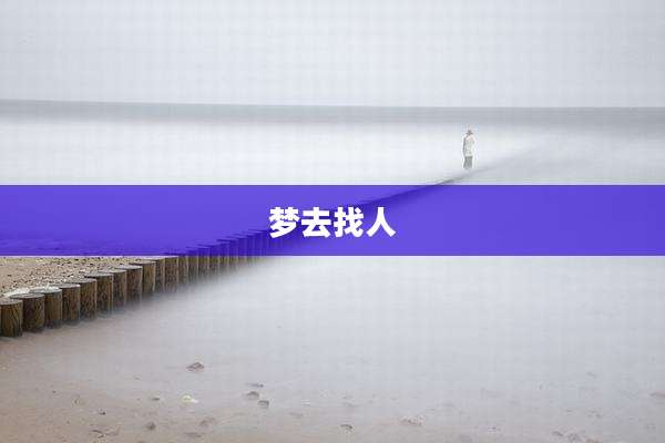 梦去找人