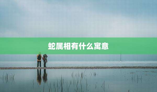 蛇属相有什么寓意