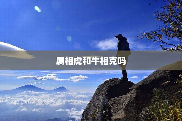 属相虎和牛相克吗