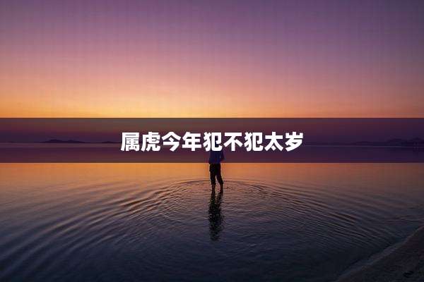 属虎今年犯不犯太岁