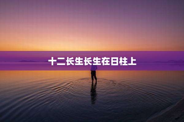 十二长生长生在日柱上