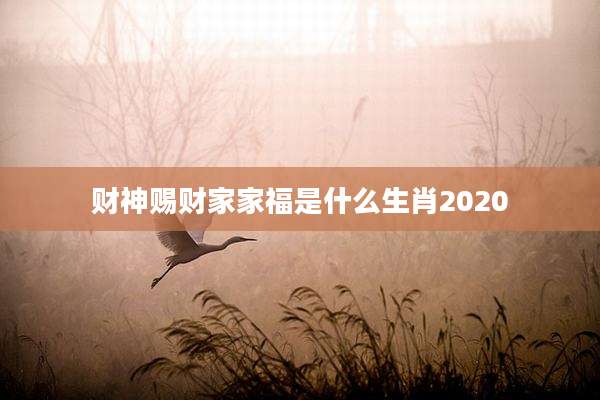 财神赐财家家福是什么生肖2020