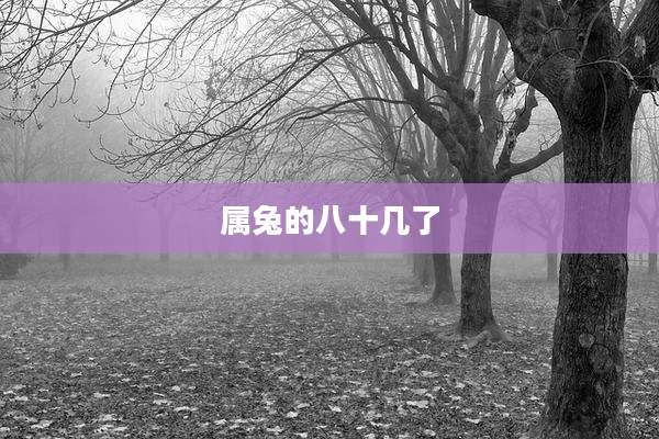 属兔的八十几了