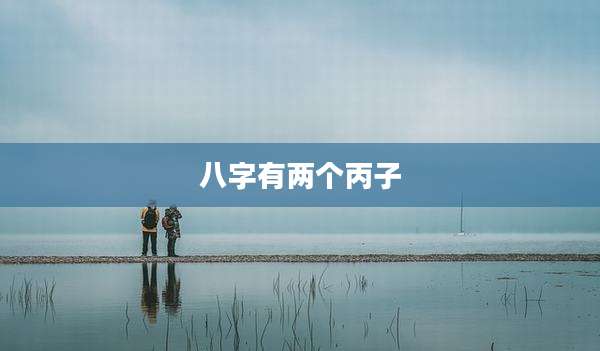 八字有两个丙子