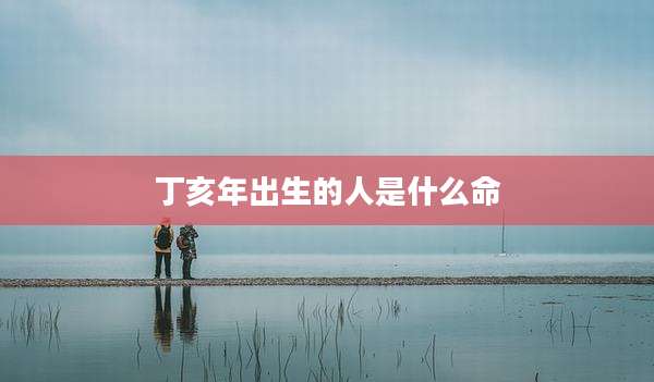 丁亥年出生的人是什么命