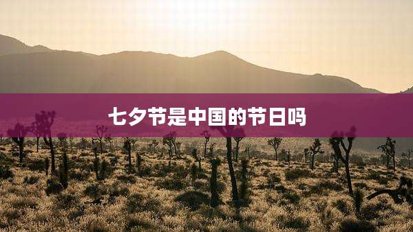 七夕节是中国的节日吗