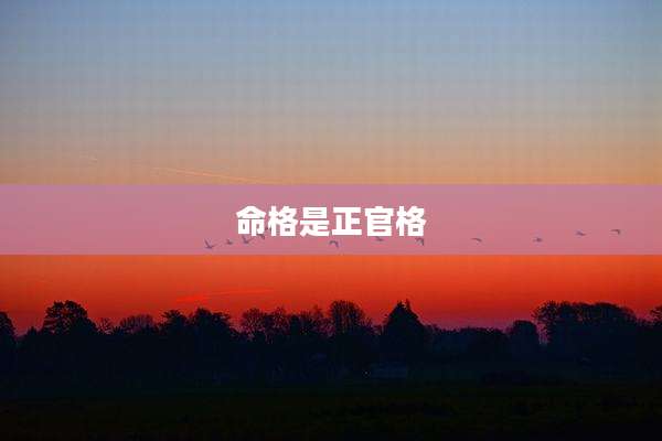 命格是正官格