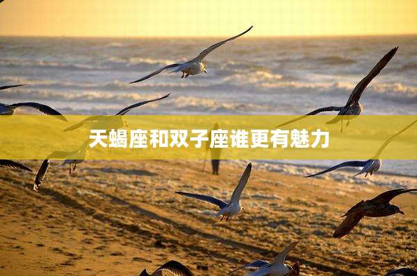 天蝎座和双子座谁更有魅力
