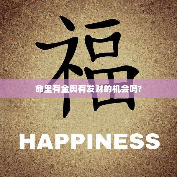 命里有金舆有发财的机会吗?