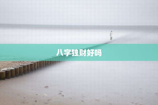 八字独财好吗