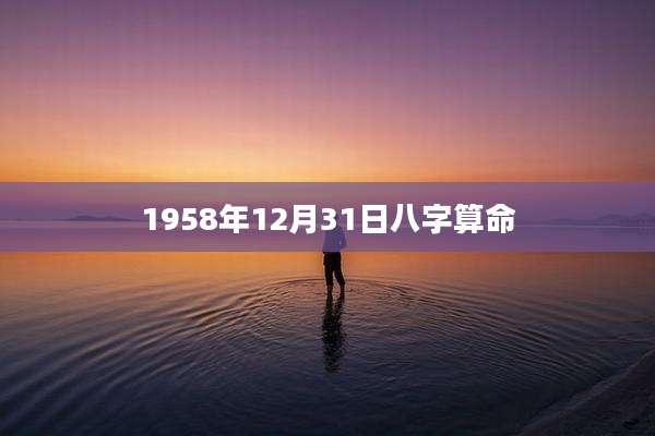 1958年12月31日八字算命
