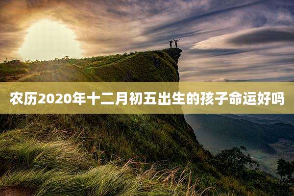 农历2020年十二月初五出生的孩子命运好吗