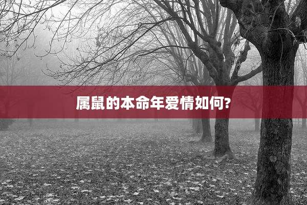 属鼠的本命年爱情如何?