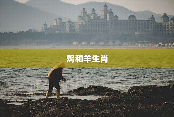 鸡和羊生肖