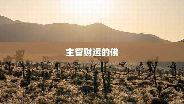 主管财运的佛