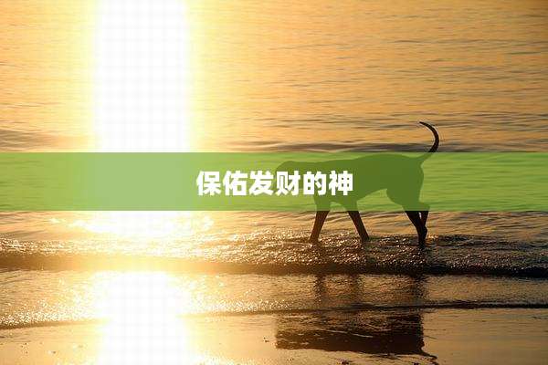 保佑发财的神