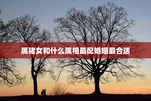 属猪女和什么属相最配婚姻最合适