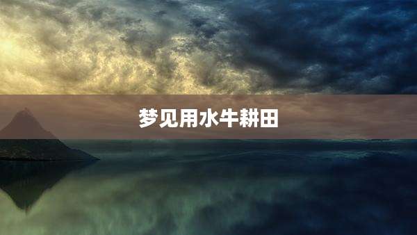 梦见用水牛耕田