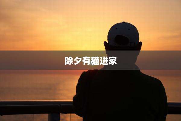 除夕有猫进家