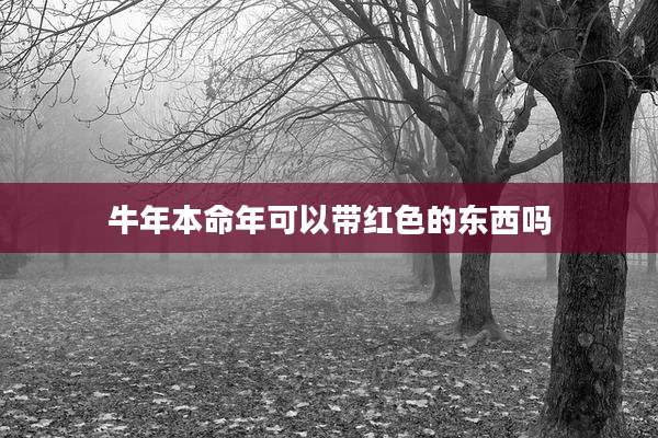 牛年本命年可以带红色的东西吗