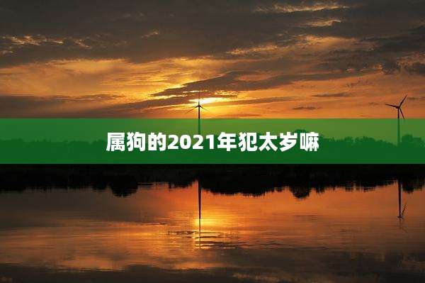 属狗的2021年犯太岁嘛