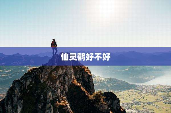 仙灵鹤好不好
