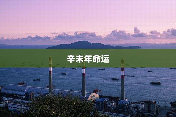 辛未年命运
