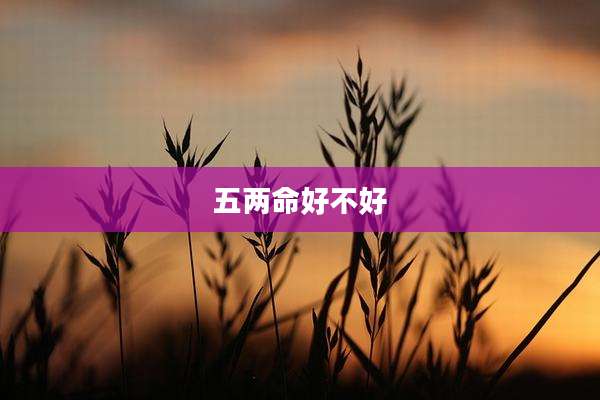 五两命好不好