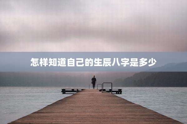 怎样知道自己的生辰八字是多少