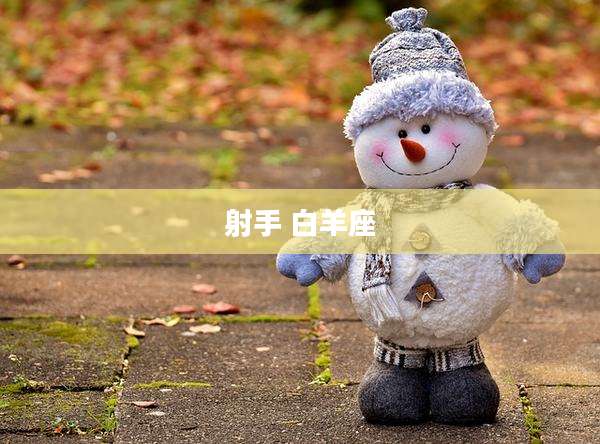 射手 白羊座