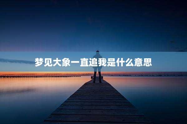 梦见大象一直追我是什么意思