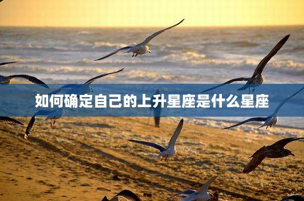 如何确定自己的上升星座是什么星座