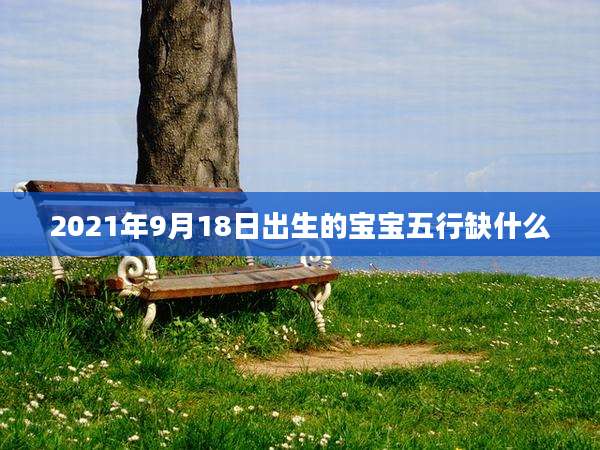 2021年9月18日出生的宝宝五行缺什么