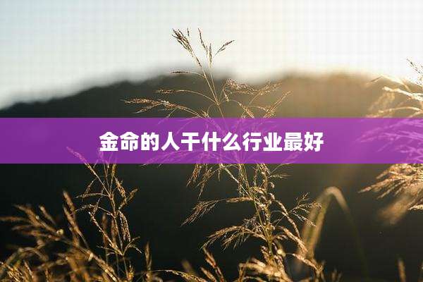 金命的人干什么行业最好