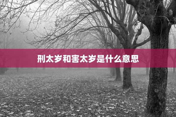刑太岁和害太岁是什么意思