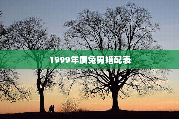 1999年属兔男婚配表