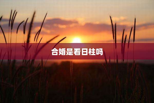 合婚是看日柱吗
