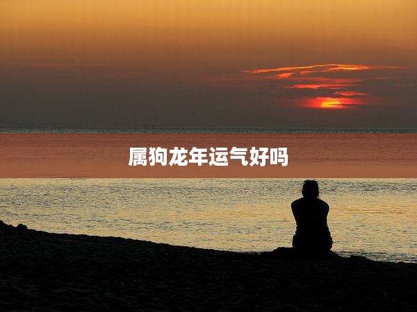 属狗龙年运气好吗