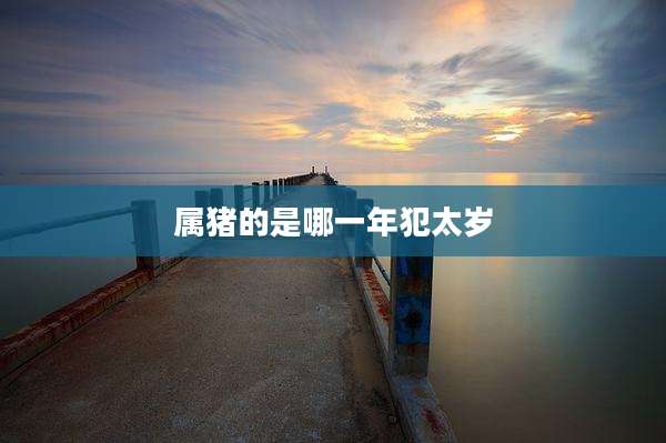 属猪的是哪一年犯太岁