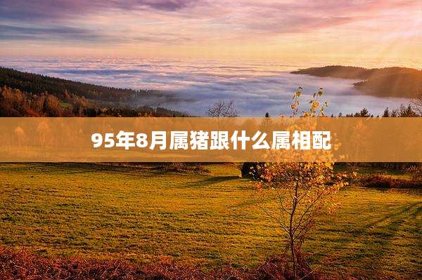 95年8月属猪跟什么属相配