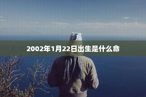 2002年1月22日出生是什么命