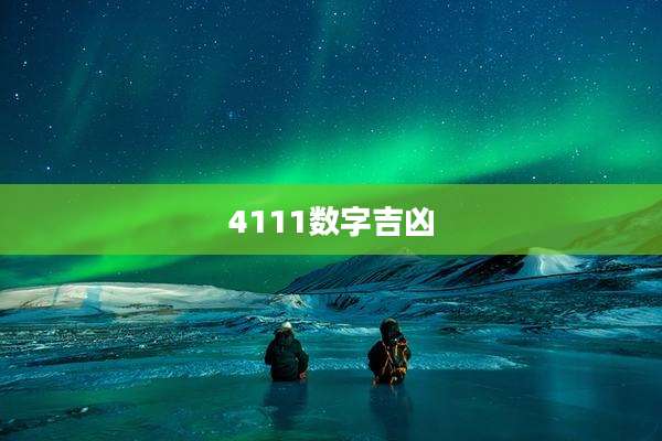 4111数字吉凶