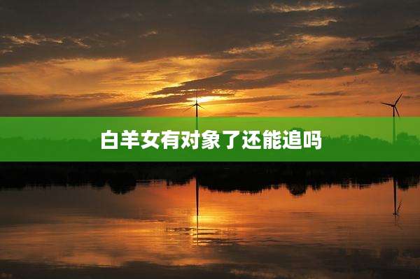 白羊女有对象了还能追吗