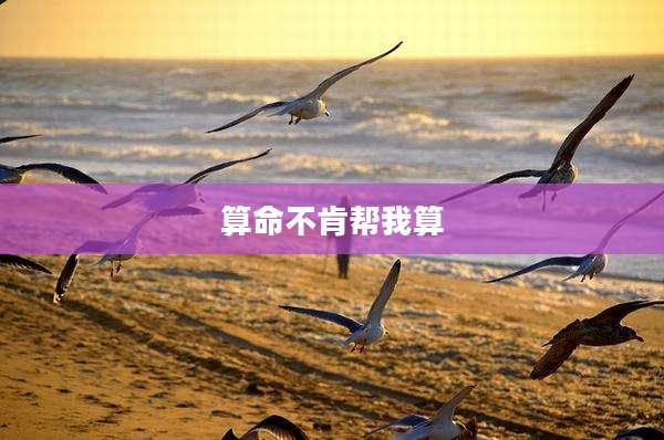 算命不肯帮我算