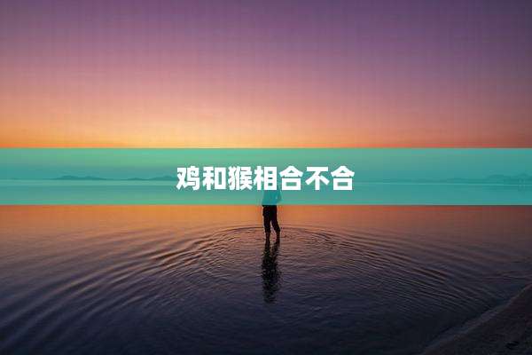 鸡和猴相合不合