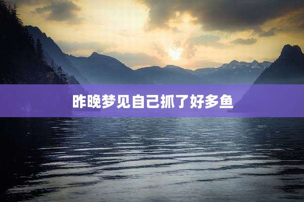 昨晚梦见自己抓了好多鱼