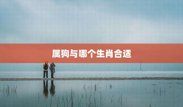 属狗与哪个生肖合适